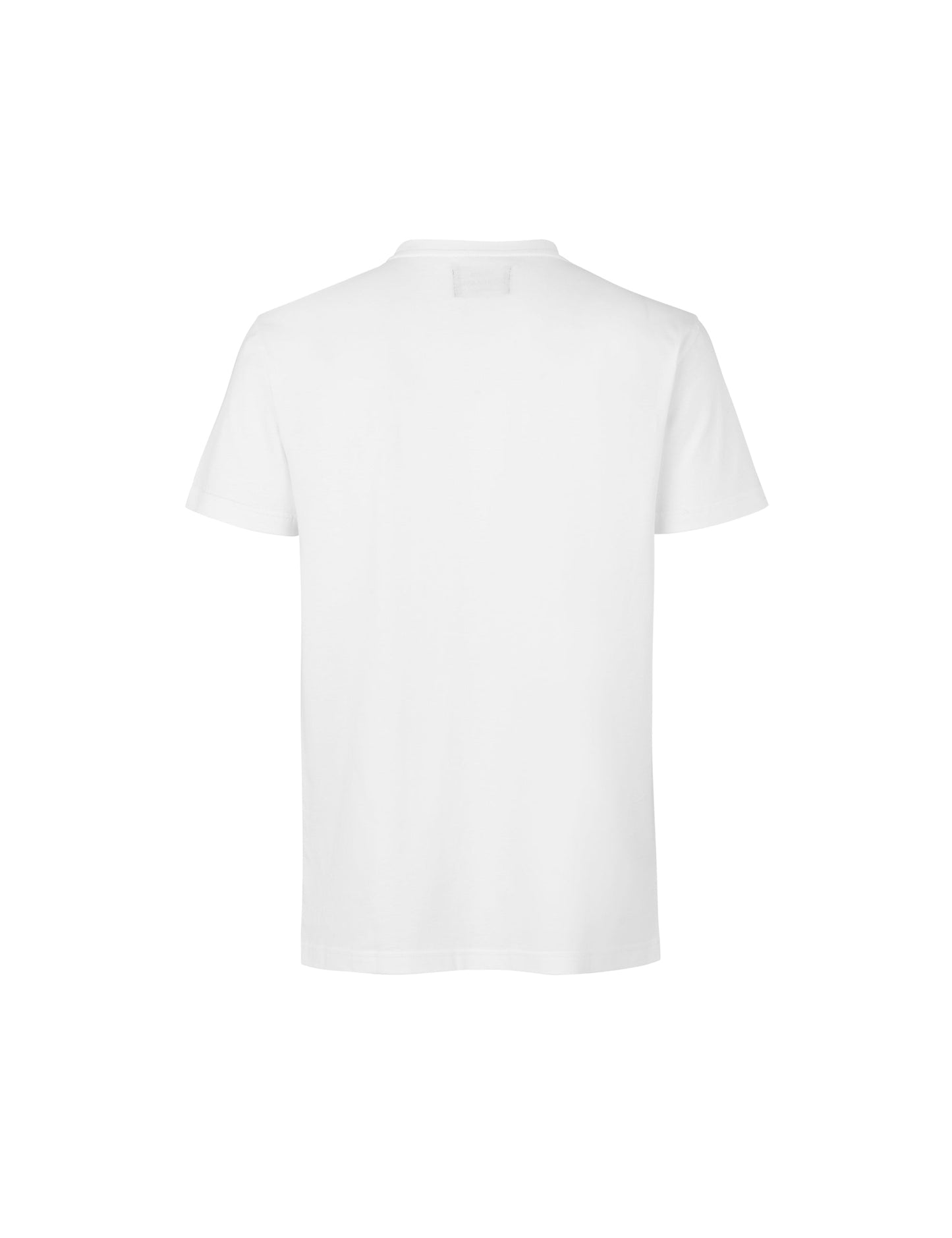 Surf Tren, White