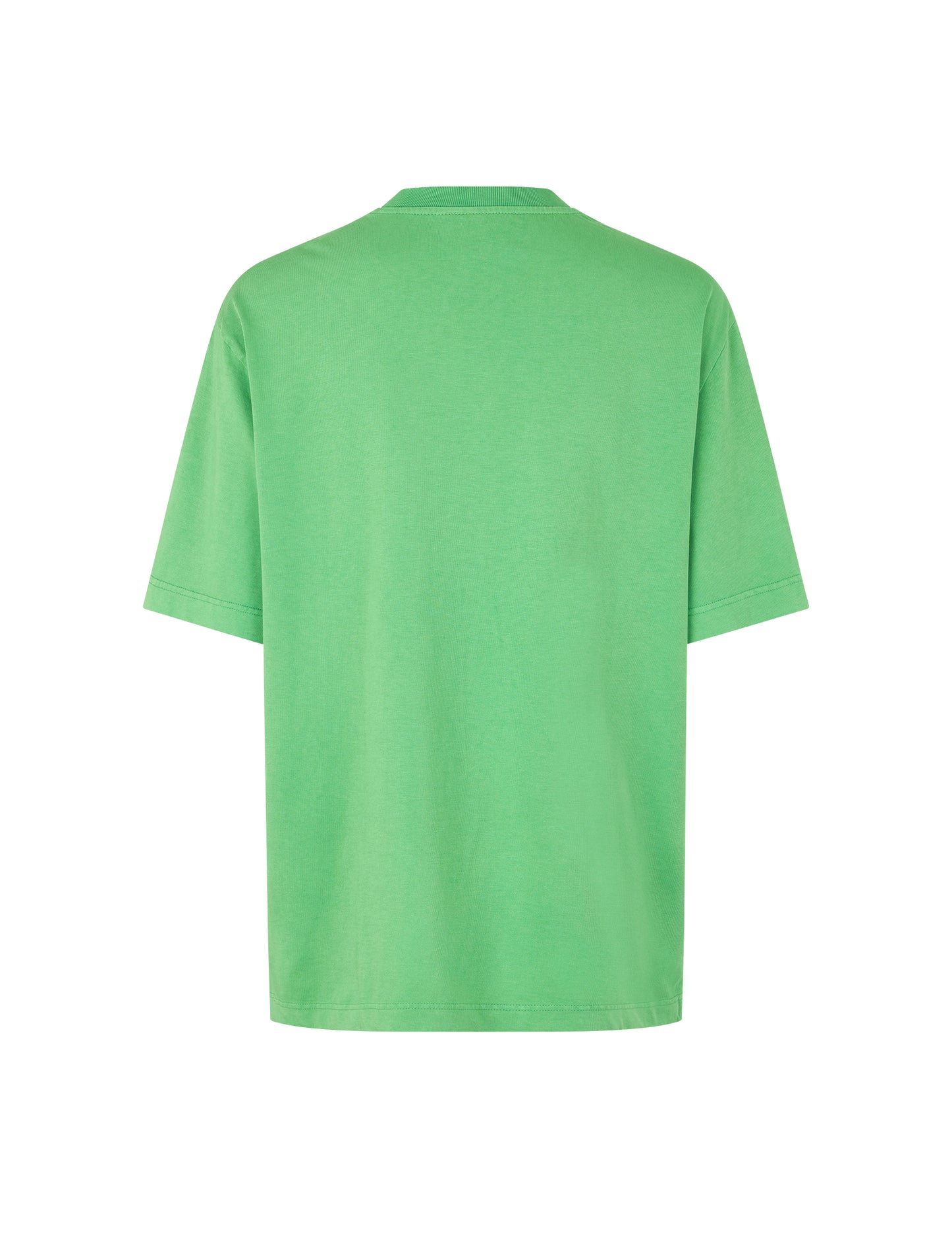 Heavy Dye Dassel Tee, Poison Green