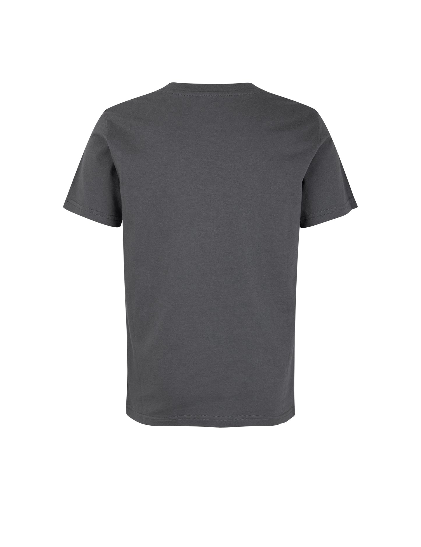 Printed Tee Thorlino Tee, Asphalt