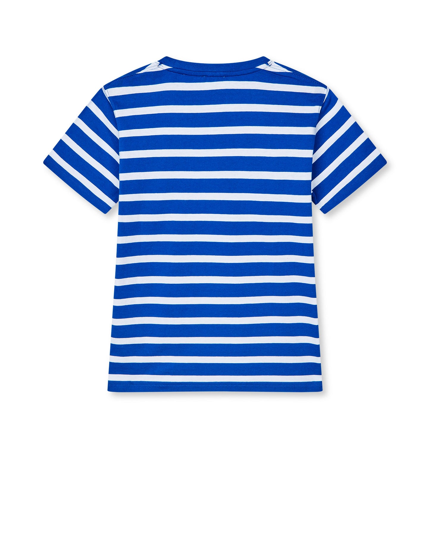 Cotton Jersey Stripe Thorlino Tee, Surf The Web/White